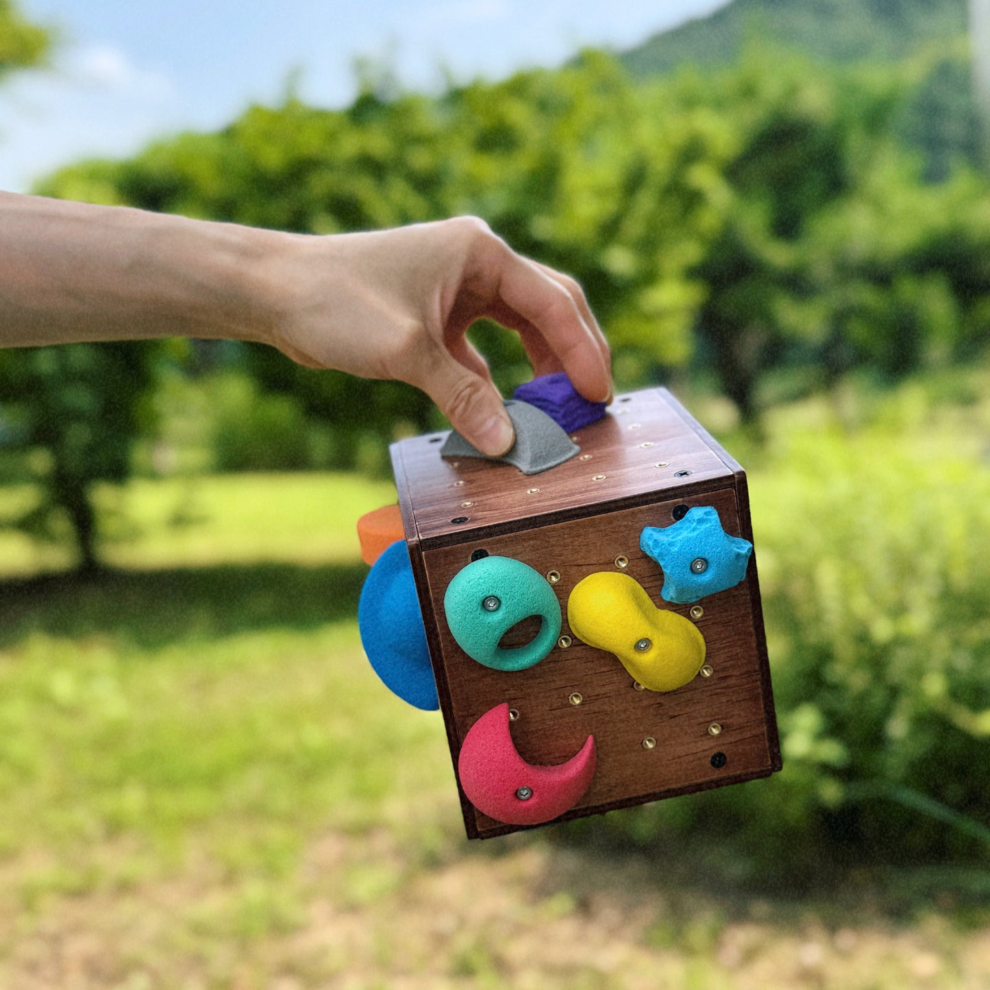 Boulder Cube – Full Package Electric (22 Holds)